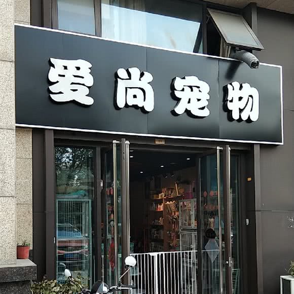 爱尚宠物:南京市江宁区东山镇附近