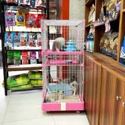 小饼干宠物连锁店:南京市江宁区东山镇附近