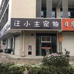 汪小主宠物狗:南京市江宁区东山镇附近
