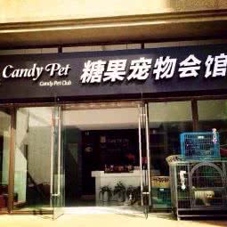 糖果宠物会馆:南京市江宁区殷巷附近