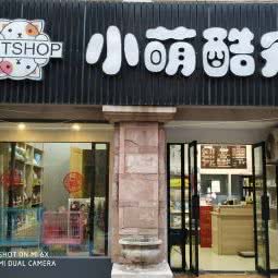 小萌酷宠:南京市江宁区江宁科学园附近