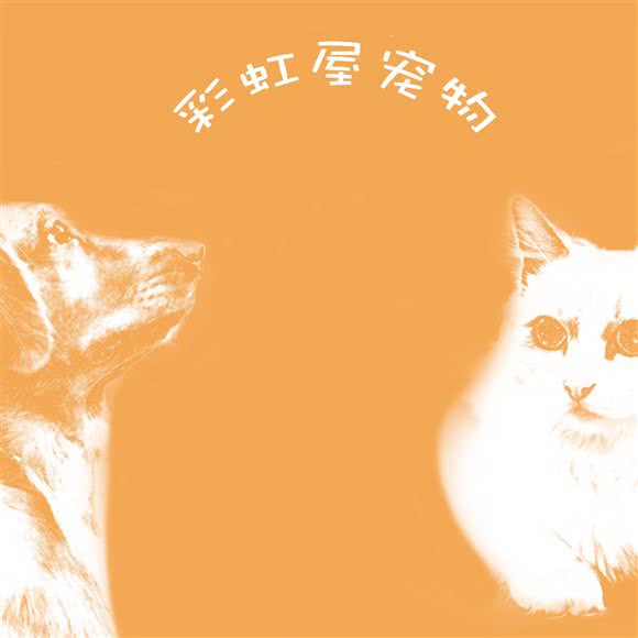 彩虹屋宠物生活馆:南京市江宁区江宁大学城附近