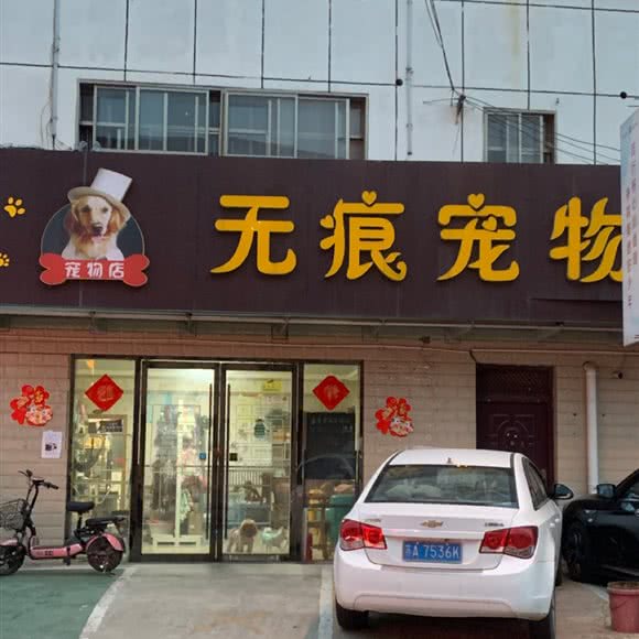 无痕宠物狗:南京市江宁区禄口机场附近