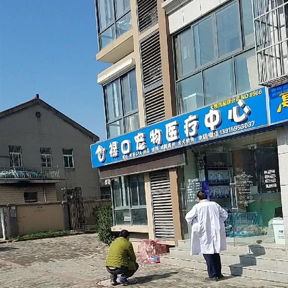 禄口宠物医疗中心:南京市江宁区禄口机场附近