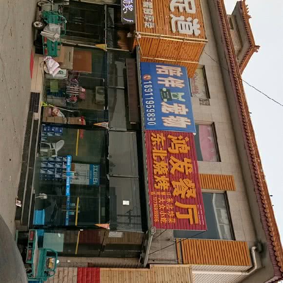 陪伴宠物:北京城区房山区窦店镇附近