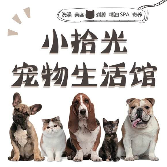 小拾光宠物生活馆:南京市江宁区托乐嘉附近