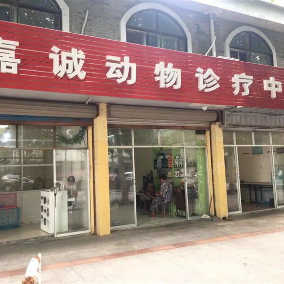 汤山嘉诚宠物店:南京市江宁区汤山镇附近