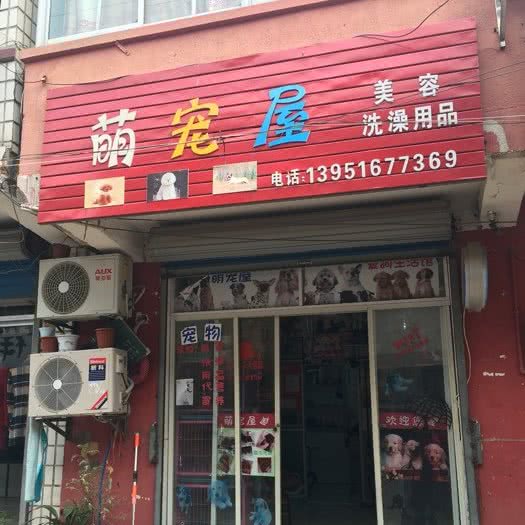 汤山萌宠屋:南京市江宁区汤山镇附近