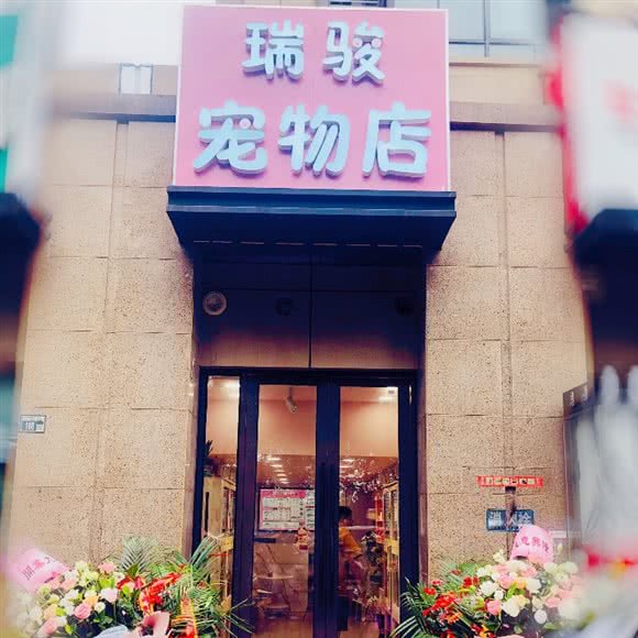 瑞骏宠物:南京市江宁区九龙湖滨天地附近