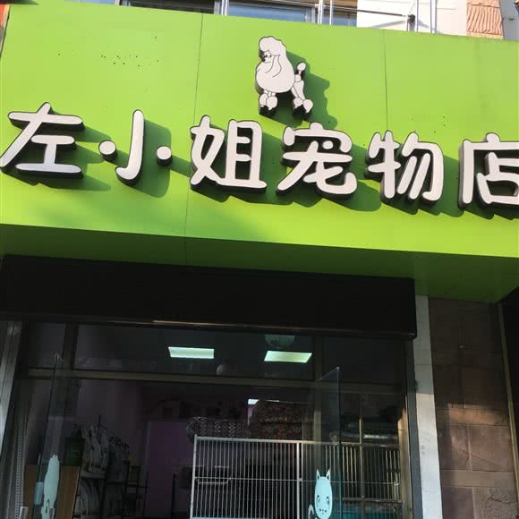 左小姐宠物店:南京市江宁区麒麟门附近