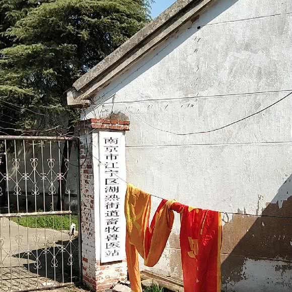 南京市江宁区湖熟街道畜牧兽医站:南京市江宁区湖熟镇附近