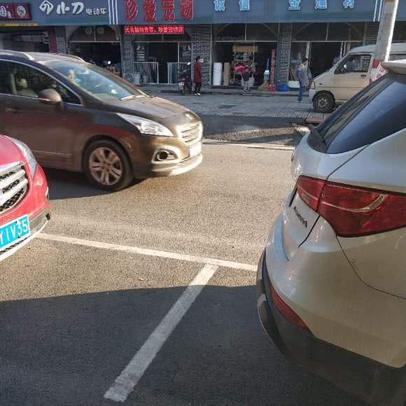 珍爱宠物:南京市江宁区江宁滨江开发区附近