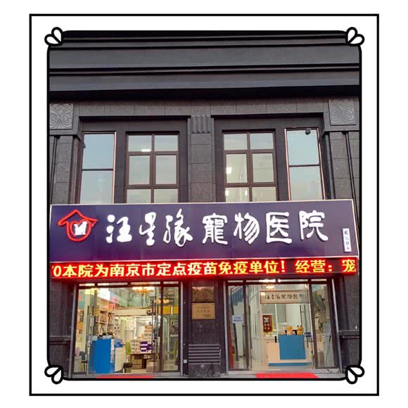 汪星缘宠物医院:南京市江宁区众彩市场附近