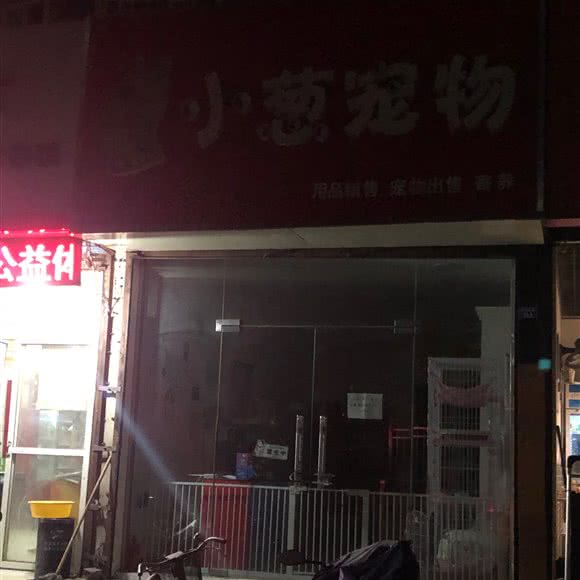 小葱宠物:南京市六合区大厂附近