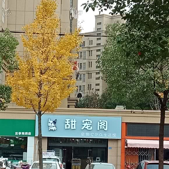 甜宠阁·萌宠乌托邦(兰亭苑店):南京市六合区大厂附近
