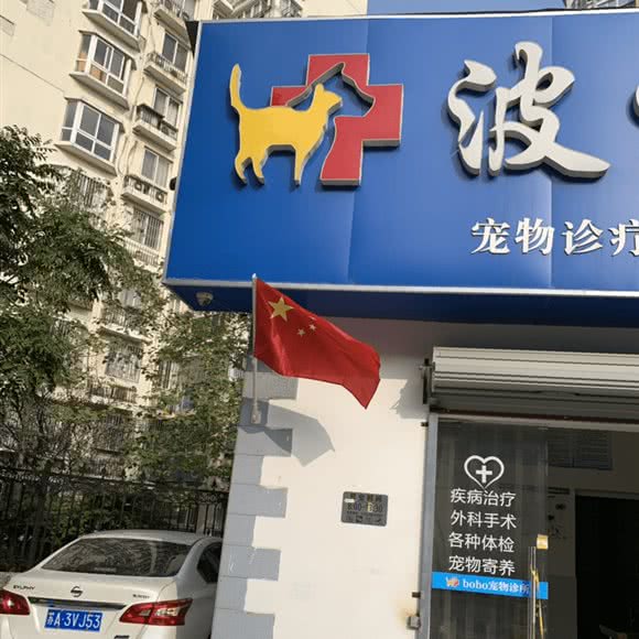 波波宠物医院:南京市六合区大厂附近