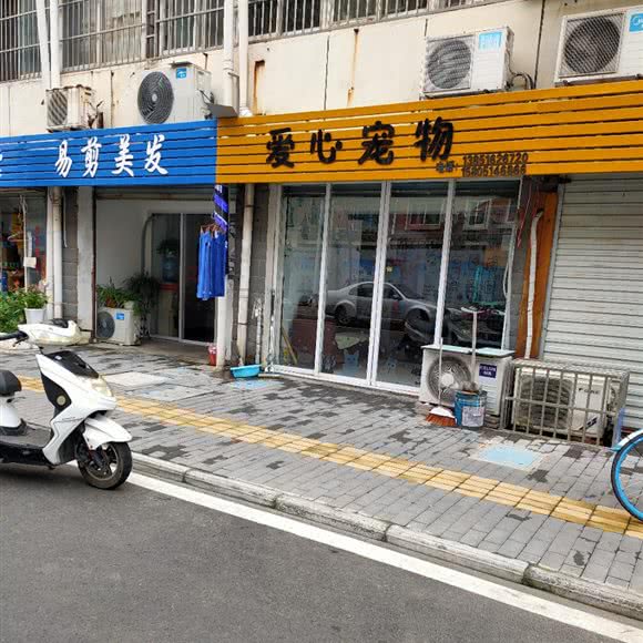 双语爱心宠物:南京市六合区雄州附近