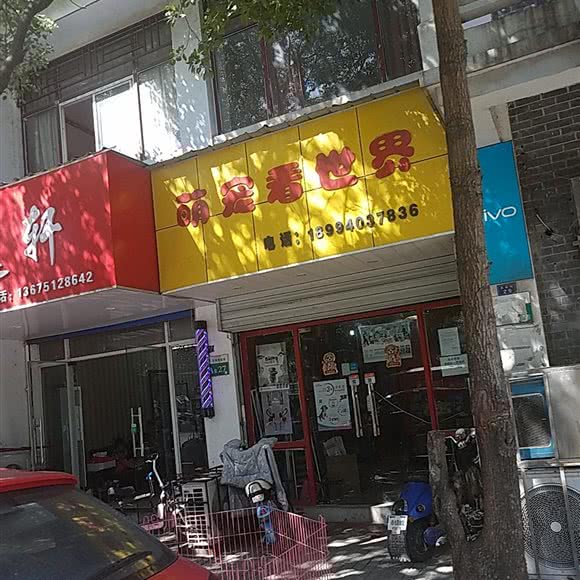 萌宠看世界:南京市六合区新华西路附近