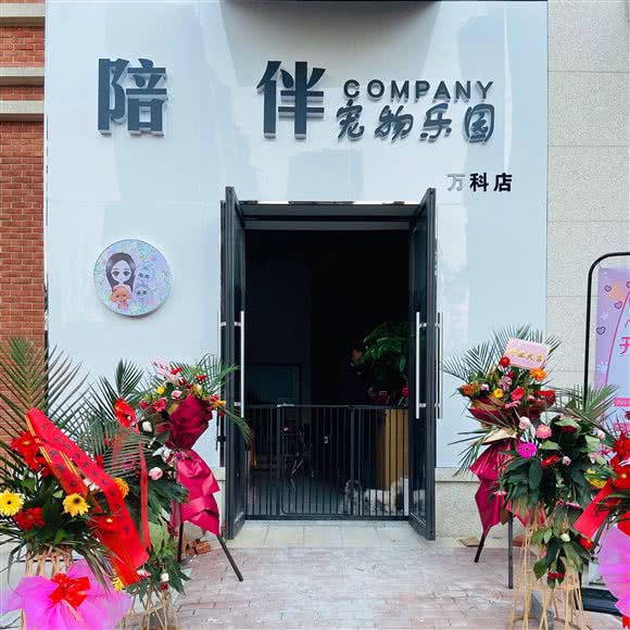 陪伴宠物乐园(万科店):南京市溧水区溧水区附近