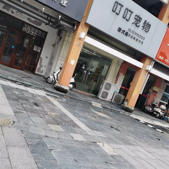 叮叮宠物:南京市溧水区溧水区附近