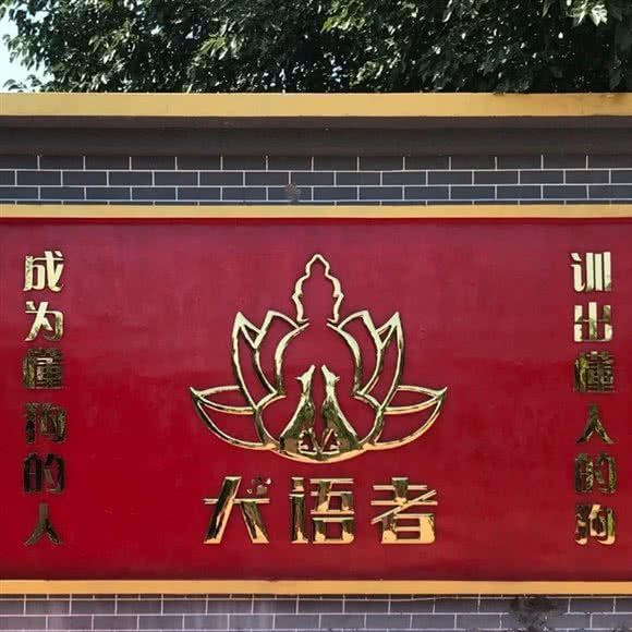 犬语者宠物乐园 宠物寄养训练:北京城区房山区阎村镇附近