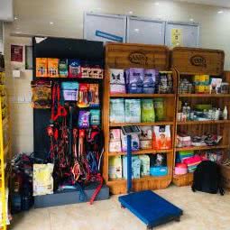 我爱我宠宠物诊所(康利店):南京市溧水区溧水区附近