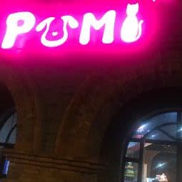 噗咪Pumi宠物:南京市高淳区高淳区附近