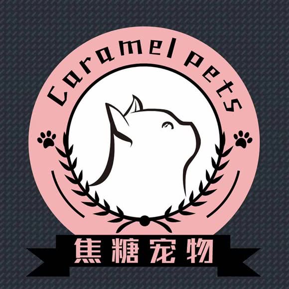 焦糖宠物:无锡市锡山区东亭附近