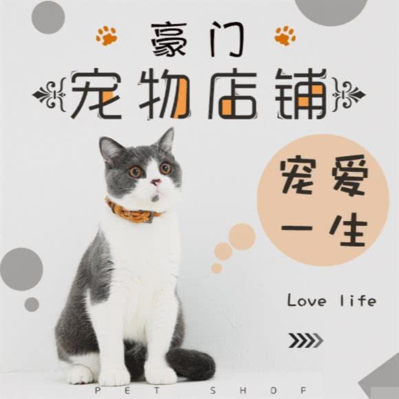 豪门宠物·猫狗专卖:无锡市锡山区东亭附近