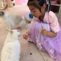 萌宠小镇:无锡市锡山区安镇附近