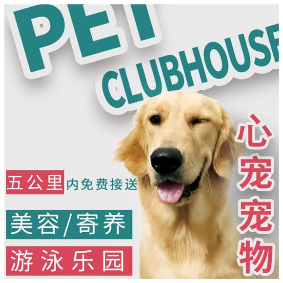 心宠PUPPY INN·宠物美容乐园:北京城区房山区阎村镇附近