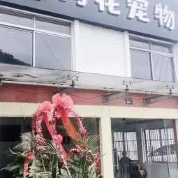 狗花宠物:无锡市锡山区荡口古镇风景区附近