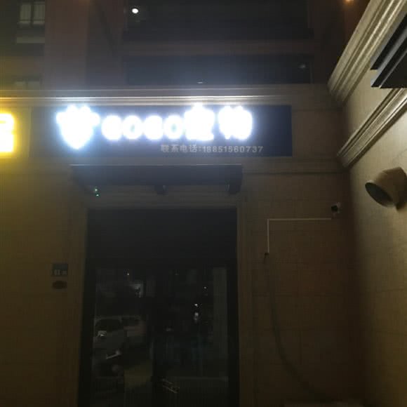 GOGO宠物:无锡市锡山区查桥附近