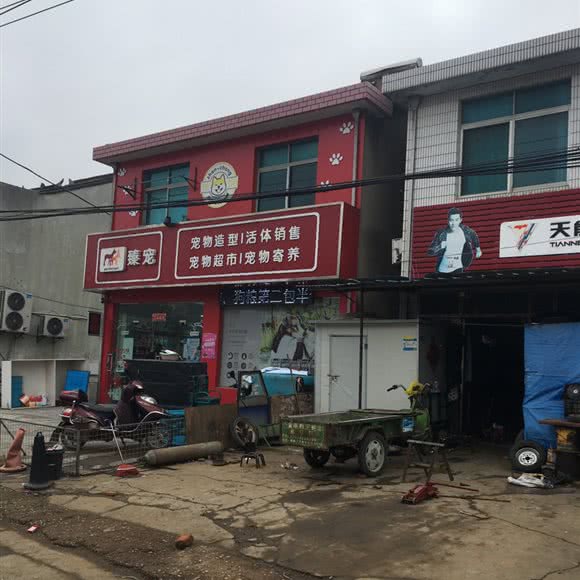 臻宠:无锡市锡山区查桥附近