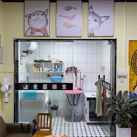 爱馨猫室:无锡市锡山区张泾附近