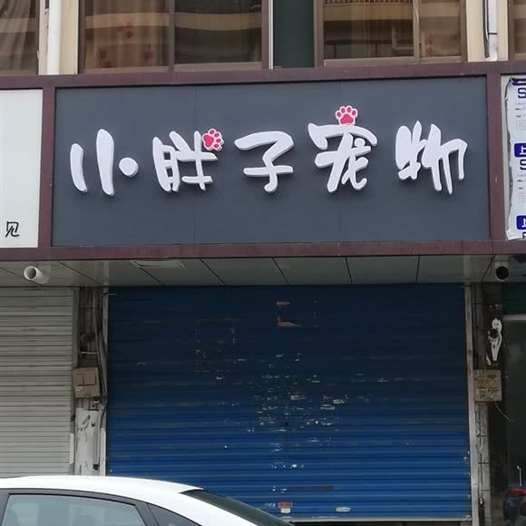 小胖子宠物:无锡市惠山区钱桥附近