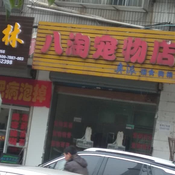 八淘宠物店:无锡市惠山区钱桥附近