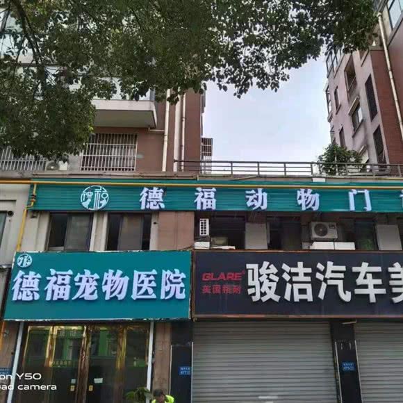 德福宠物医院:无锡市惠山区钱桥附近