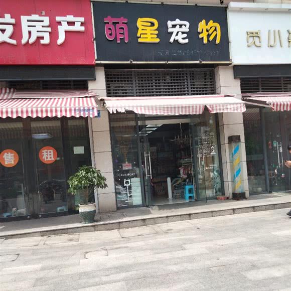 萌星宠物:无锡市惠山区阳山附近
