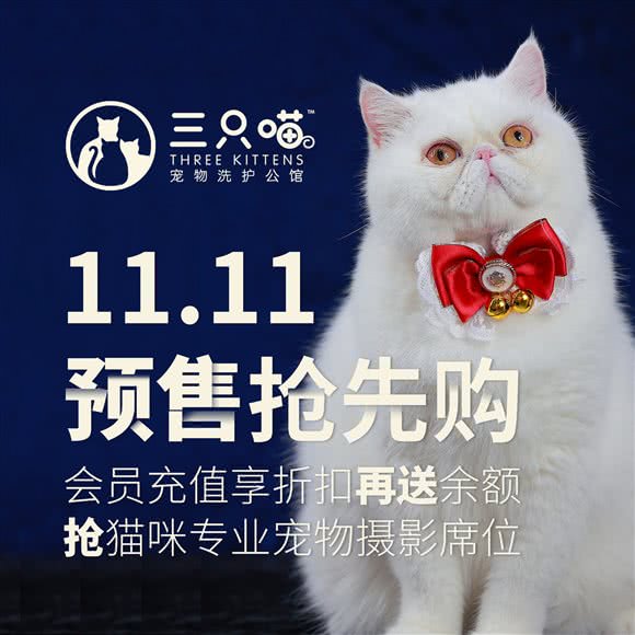 三只喵·宠物洗护寄养公馆:无锡市滨湖区河埒口附近