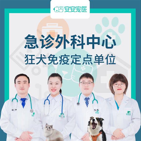 安安宠医(青祁路分院):无锡市滨湖区河埒口附近