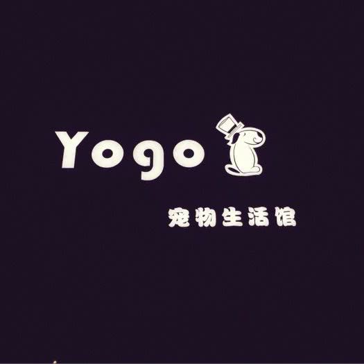 Yogo宠物生活馆:无锡市滨湖区江南大学城附近
