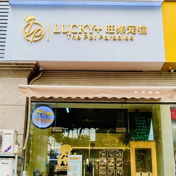 Lucky+旺柴宠物:无锡市滨湖区新体育中心/奥林花园附近