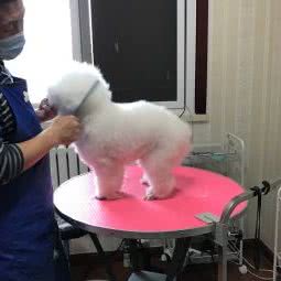 遛.伴宠物生活馆:北京城区房山区华冠天地附近