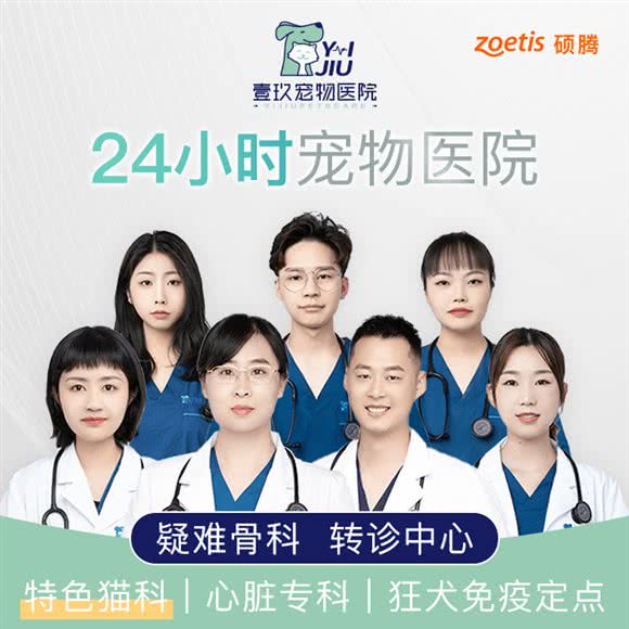 壹玖宠物医院·24小时转诊中心·猫科中心·外科中心:无锡市滨湖区新体育中心/奥林花园附近