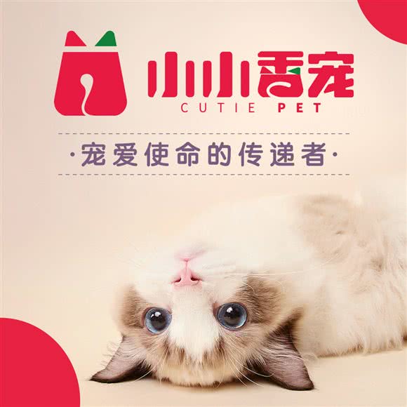 小小香宠:北京城区朝阳区三里屯/工体附近