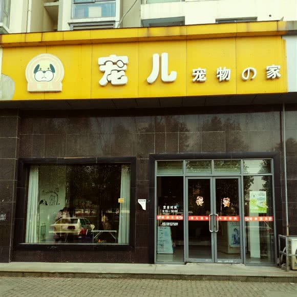 宠儿宠物:无锡市滨湖区荣巷附近