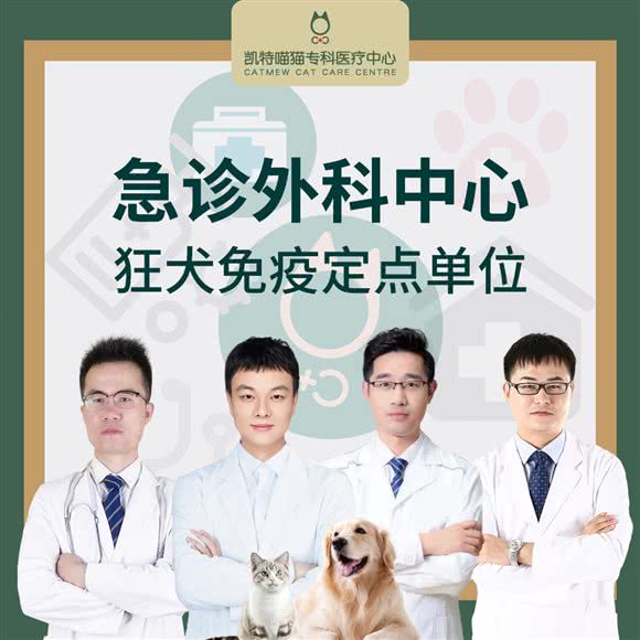 瑞鹏宠物医院凯特喵猫专科·爱猫医院(大通路分院，猫专科，24小时分院):无锡市滨湖区万科酩悦/东绛附近