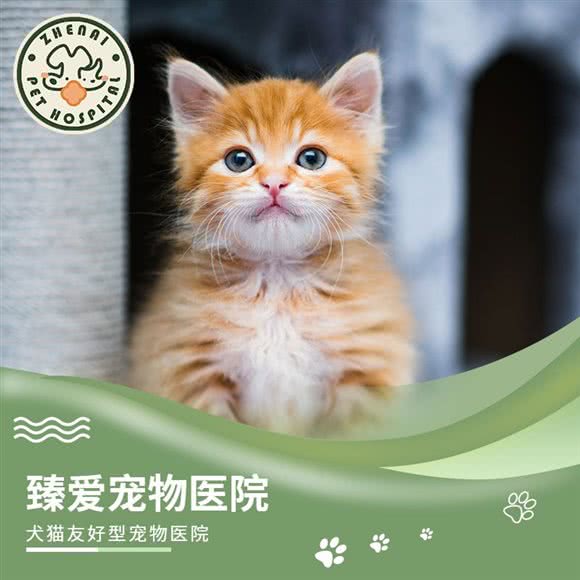 臻爱宠物医院:无锡市滨湖区万科酩悦/东绛附近