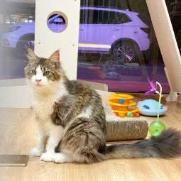 猫儿哆:无锡市滨湖区长广溪公园附近